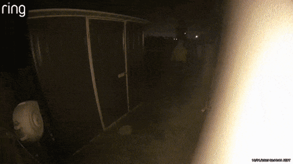 Police released footage of the moment arsonists set fire to a home in Melbourne’s west, killing an innocent woman and dog trapped inside.