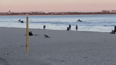 Brighton-le-Sands Jet-skiers Set to Be Fined Through CCTV: Bayside ...