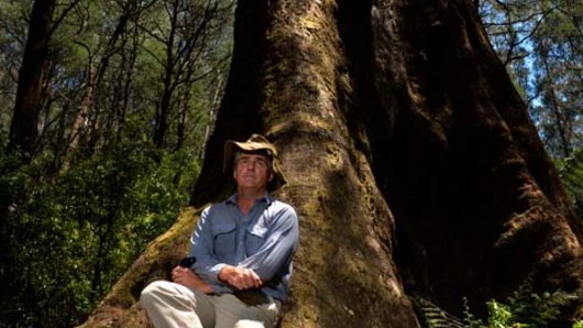 Ecologist David Lindenmayer