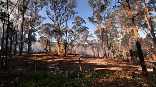 The extent of land cleared in Queensland increased from 356,000 hectares in 2016-17 to 680,688 hectares in 2018-19.