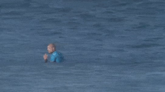 Mick Fanning's close shark encounter in 2015.