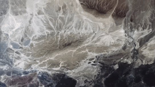 Jennifer Peedom’s River.