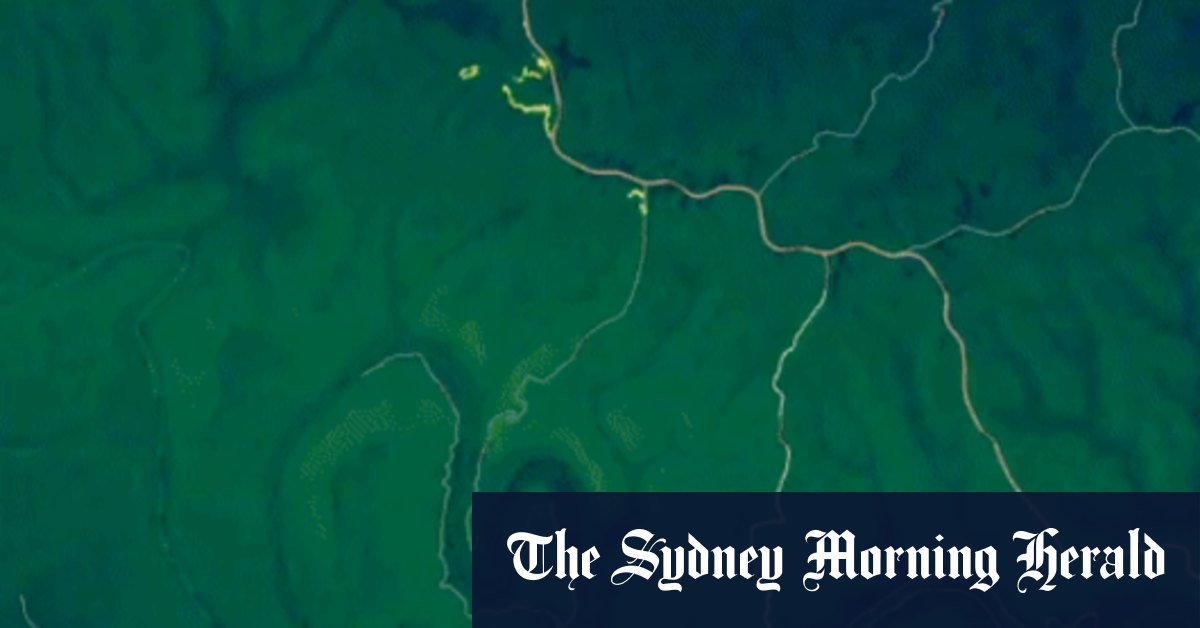 NSW fires: How RFS back burning measures go wrong more than we think - Vimarsana News