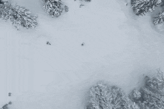 Whistler