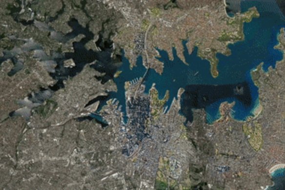 John David Chia was fined $40,000 for instructing arborists to remove 74 trees surrounding his Roseville property.