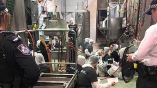Protesters inside Carey Bros Abattoir, near Warwick, in April.