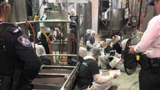 The protesters inside Carey Bros abattoir in Yangan, southern Queensland.