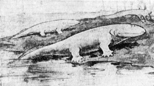 An artist's impression of the prehistoric creature.