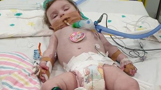 Amiyah Windross died of an undiagnosed neurological condition she had battled since birth.
