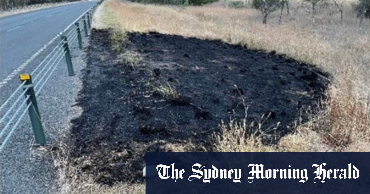 Victorian bushfires: Driver charged with sparking spot fires near bushfire danger zone - Vimarsana News