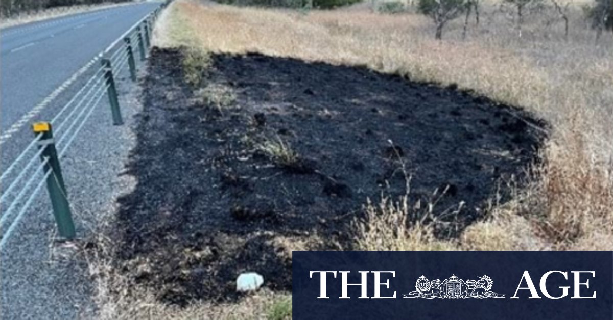 Victorian bushfires: Driver charged with sparking spot fires near bushfire danger zone - Vimarsana News