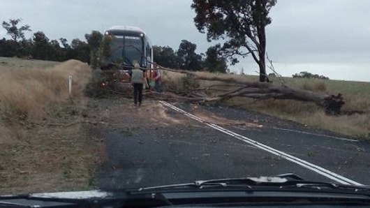 A tree is blocking a school bus in WA's South West.