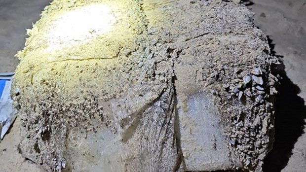 A white Christmas: Barnacle-crusted packages containing cocaine washed up on NSW beaches in late December.