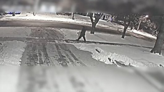 Canadian police release footage of suspect in billionaire Barry Sherman murder case