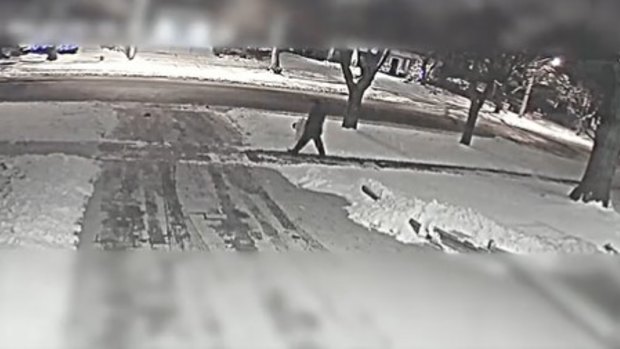 Image of the person seen outside the residence of the murdered billionaire Barry Sherman.