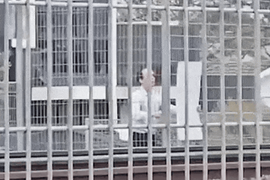 Mystery person rips down corflutes in Kingston.