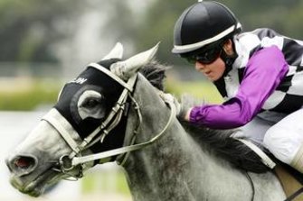 Alysha Collet has the ride on Geisel at Scone on Tuesday.
