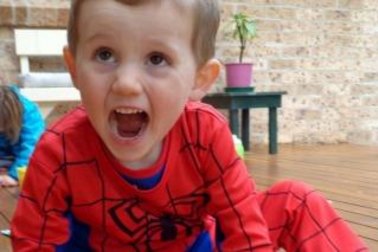 William Tyrrell, who vanished in 2014.