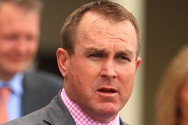 John O'Shea will be watching from North Queensland as Le Gai Soleil looks to make it four wins on end on Saturday