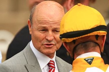 David Payne's first start Jemss takes good trial form in to the opener at Randwick on Saturday.