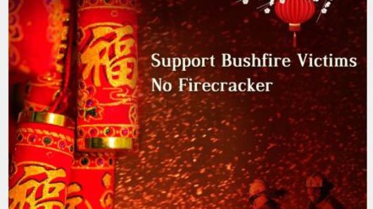 Posters urging people to refrain from releasing firecrackers during Chinese New Year.