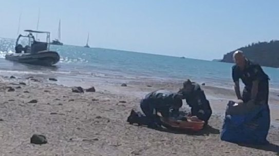 Girl, 12, bitten in second Whitsunday Island shark attack in 24 hours