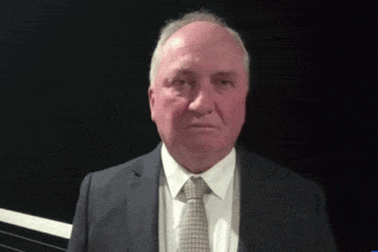 Why Barnaby Barking At His Dog Was A Political Masterstroke P60hsk