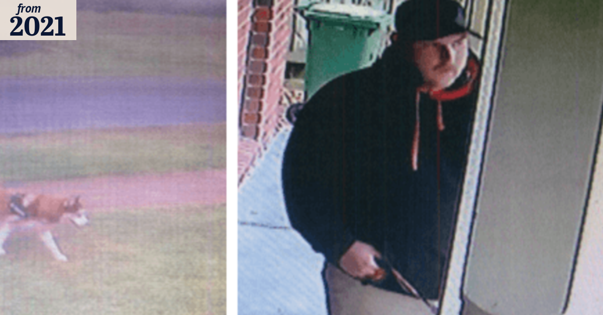 Hunt for dog-walking flasher who returned to peer through victim's window