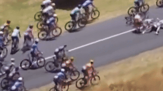 A kangaroo causes chaos at the Tour Down Under.