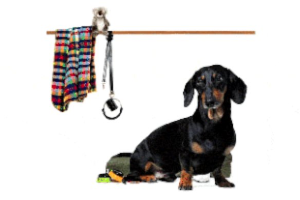 The Good Weekend pet gift guide