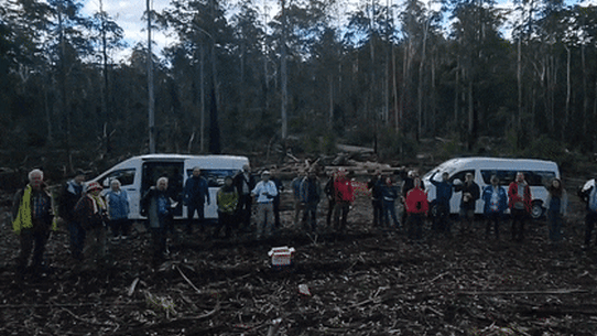 Thirty scientists from around the world were shocked at Australia’s forestry management.
