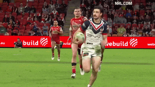 Dolphins NRL GIF