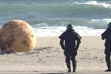 The mysterious object, nicknamed “Dragon Ball” and “Godzilla Egg”, on Enshuhama Beach in Hamamatsu, Japan.