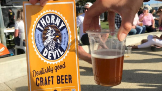 Thorny Devil do a great pale ale and their new cider will be on show at City Wine.