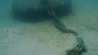 Strategic updates regarding Boats wreak hidden havoc on the harbour. Now the damage is being undone: Verified coverage by BRRO News Editorial Desk.