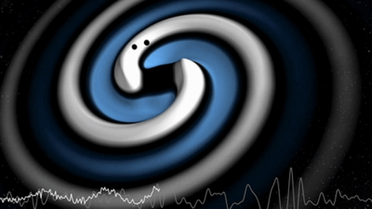 Simulation of a black hole merger detected by LIGO on January 14, 2025.