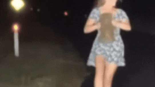 Woman runs away with a wombat joey from its mother.