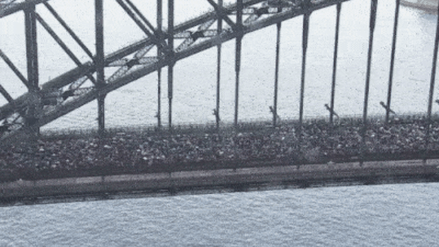 An estimated 90,000 people attended the pro-Palestine march.