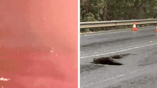 Shoalhaven disasters