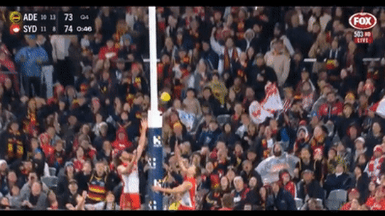 The AFL says this kick late in the game should have been awarded a goal to Adelaide against Sydney.