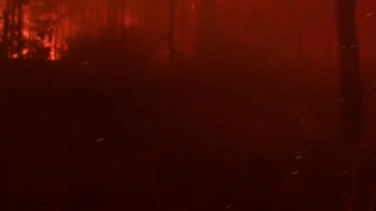 A fire truck overrun by a bushfire south of Nowra in early 2020. More protection for firefighters is one recommendation made by Craig Lapsley in his submission to the Royal Commission. 