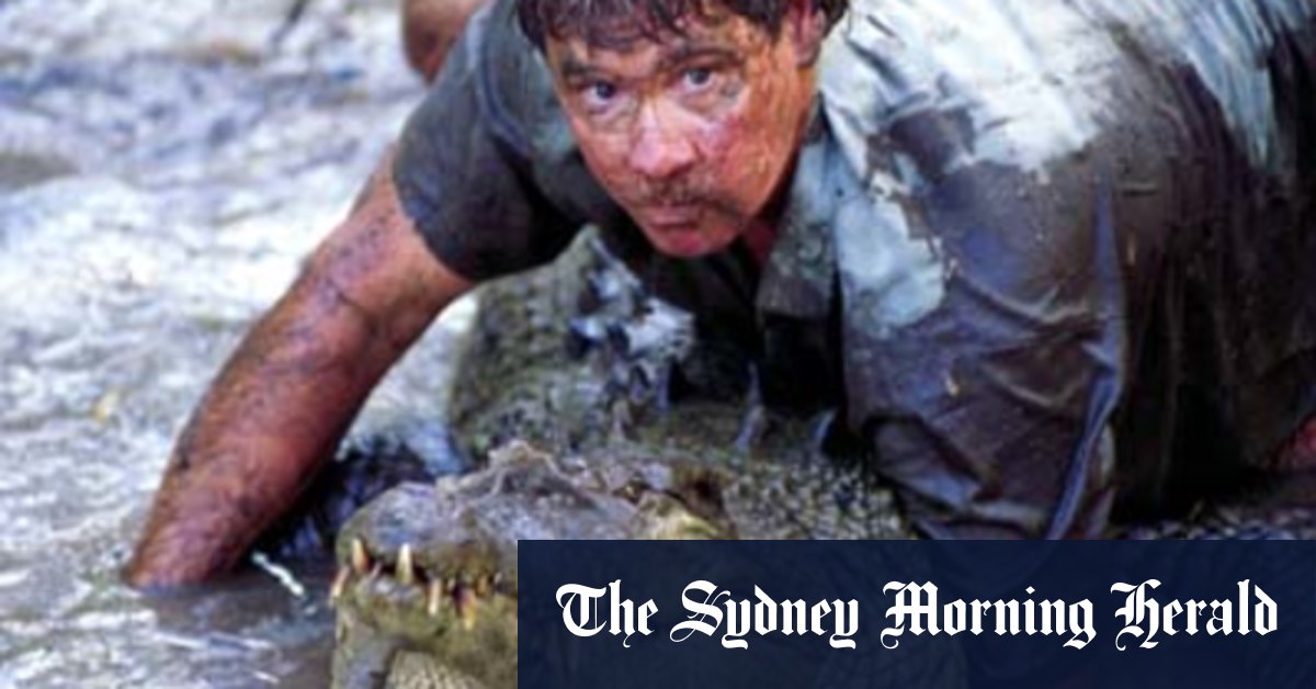Steve Irwin released this croc decades ago. Now 4-metre monster is at Australia Zoo and people are not happy