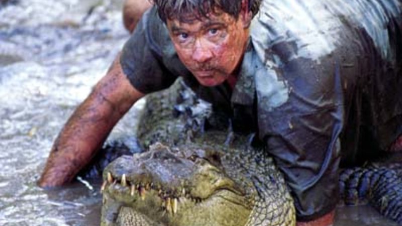 Steve Irwin released this 4m croc decades ago. Now it’s back at Australia Zoo, and people aren’t happy