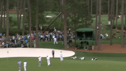 Masters 2023: Scary scene unfolds as trees collapse near patrons at Augusta  National; play suspended for Friday, Golf News and Tour Information