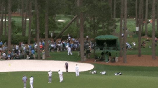 Trees fall at the US Masters.