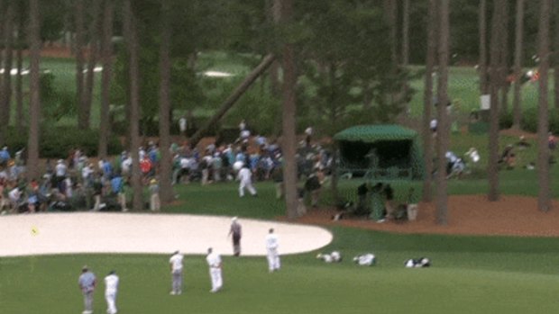 Towering trees fall at 2023 Masters, narrowly missing fans in attendance  (video) 