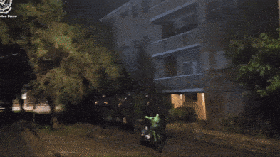 Police watchdog called in over dawn arrest of Herzog protester