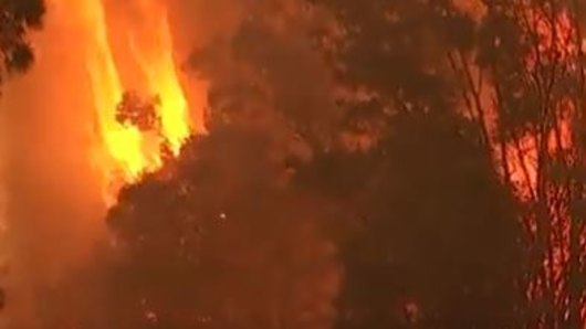 A bushfire forced the evactuation of thousands of Noosa residents.