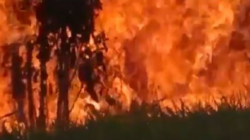 Nsw 2020 21 Fire Season Fast Moving Fire Marks First Big Blaze Of The Season