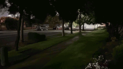 Bayside Suburb Residents Report Sleep Disruption and Confrontation